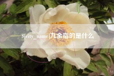 南充九金指的是什么