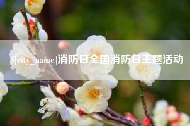 南充消防日全国消防日主题活动