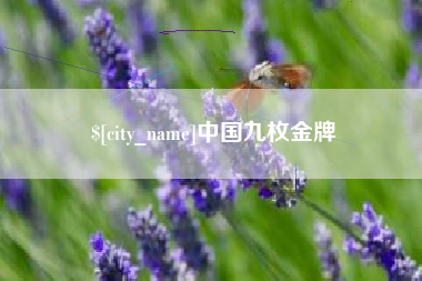 南充中国九枚金牌