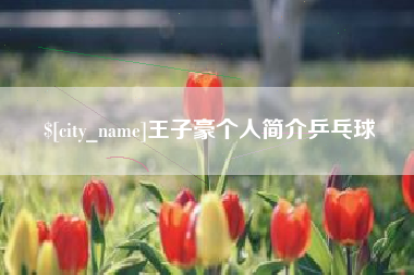 南充王子豪个人简介乒乓球