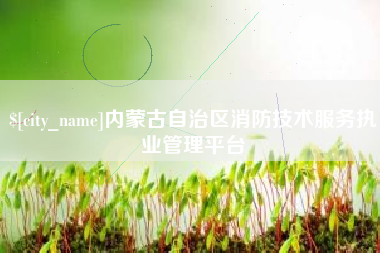 南充内蒙古自治区消防技术服务执业管理平台