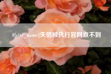 南充失信被执行官网查不到