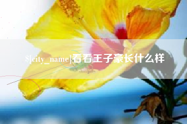 南充看看王子豪长什么样