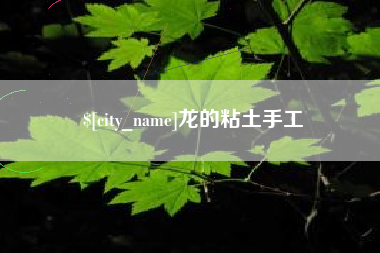 南充龙的粘土手工