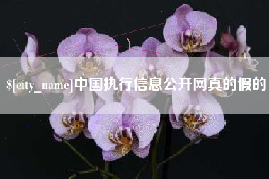 南充中国执行信息公开网真的假的