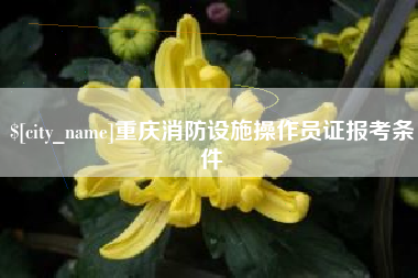南充重庆消防设施操作员证报考条件