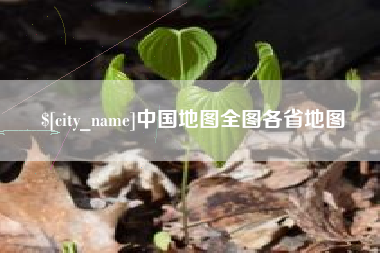 南充中国地图全图各省地图