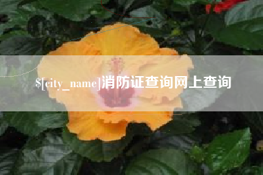 南充消防证查询网上查询