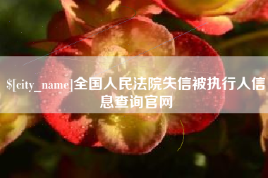 南充全国人民法院失信被执行人信息查询官网