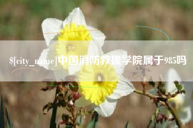 南充中国消防救援学院属于985吗