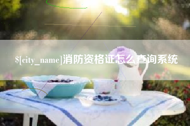 南充消防资格证怎么查询系统