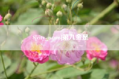 南充第九金是