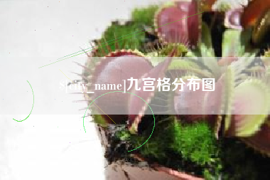 南充九宫格分布图