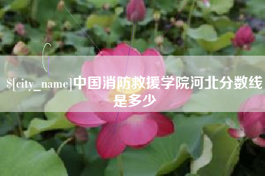 南充中国消防救援学院河北分数线是多少