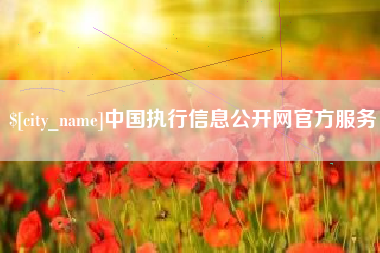南充中国执行信息公开网官方服务