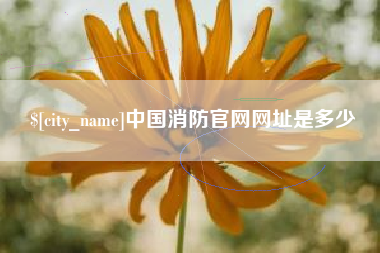 南充中国消防官网网址是多少
