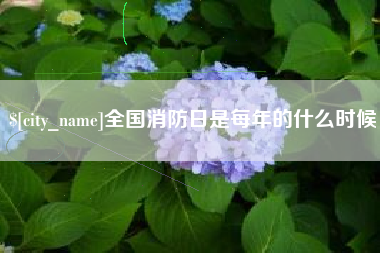 南充全国消防日是每年的什么时候
