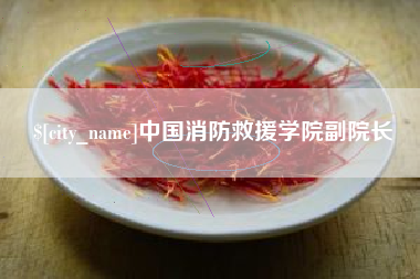 南充中国消防救援学院副院长