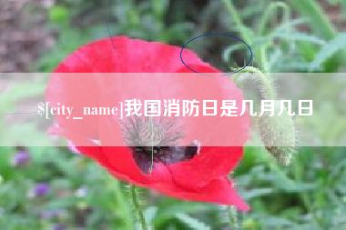 南充我国消防日是几月几日