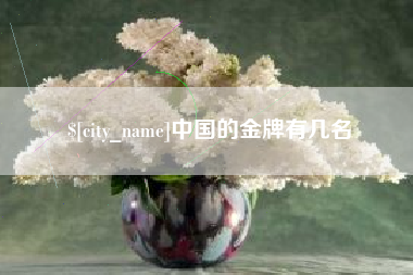 南充中国的金牌有几名