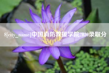南充中国消防救援学院2020录取分