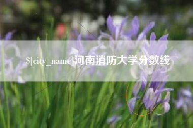 南充河南消防大学分数线