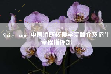南充中国消防救援学院简介及招生章程指挥部
