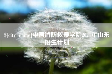 南充中国消防救援学院2021年山东招生计划