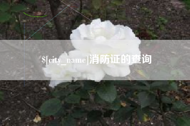 南充消防证的查询