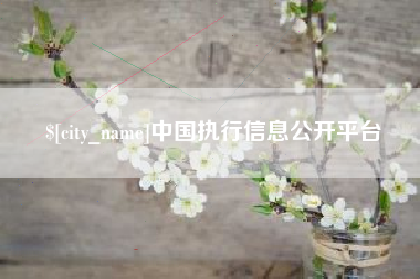 南充中国执行信息公开平台