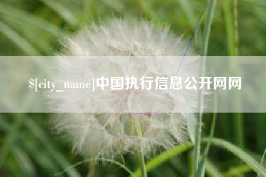 南充中国执行信息公开网网