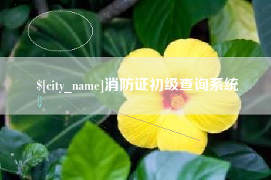 南充消防证初级查询系统