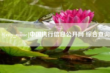 南充中国执行信息公开网 综合查询