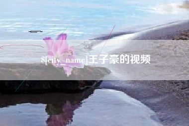 南充王子豪的视频