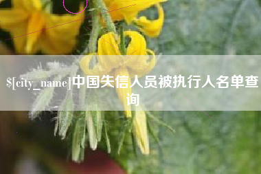 南充中国失信人员被执行人名单查询