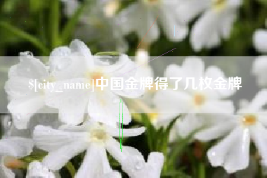南充中国金牌得了几枚金牌