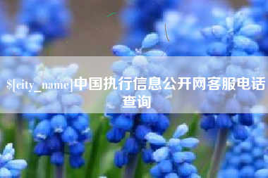 南充中国执行信息公开网客服电话查询