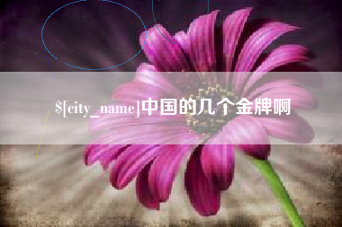 南充中国的几个金牌啊