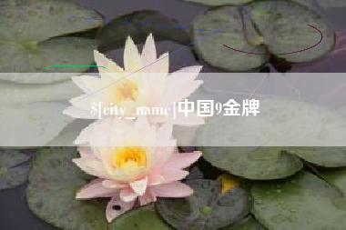 南充中国9金牌