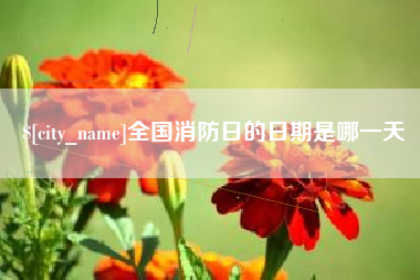 南充全国消防日的日期是哪一天