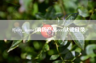 南充消防产品cccf认证目录