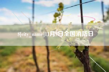南充11月9日全国消防日