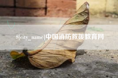 南充中国消防救援教育网