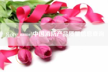 南充中国消防产品质量信息查询