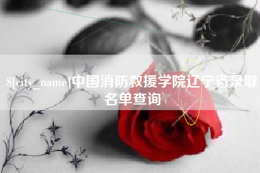 南充中国消防救援学院辽宁省录取名单查询