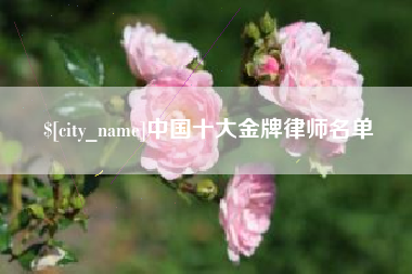 南充中国十大金牌律师名单