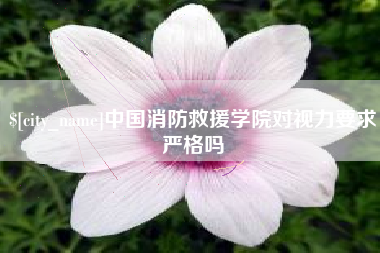 南充中国消防救援学院对视力要求严格吗