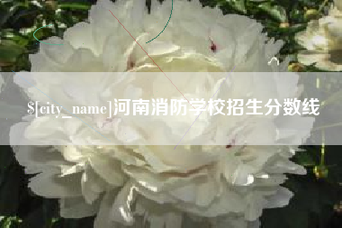 南充河南消防学校招生分数线