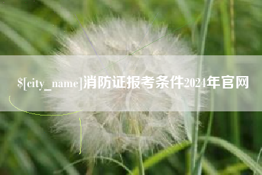 南充消防证报考条件2024年官网