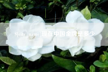 南充现在中国金牌是多少